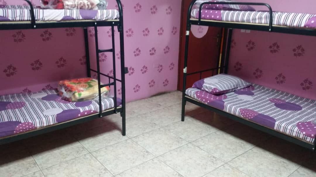 شقة فندقية Fantastic Furnished 3*